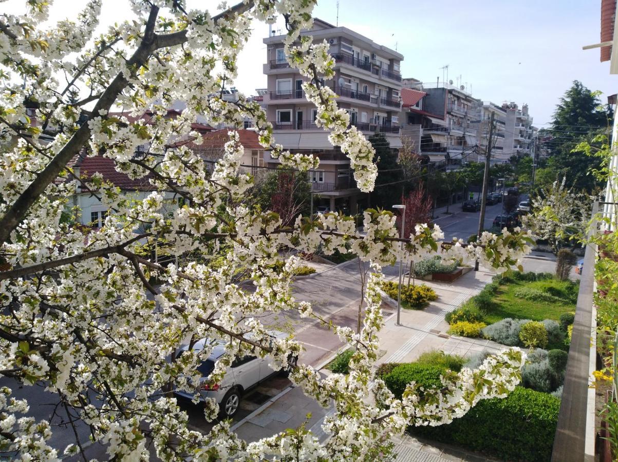 Hotel Olympia Edessa Exterior foto