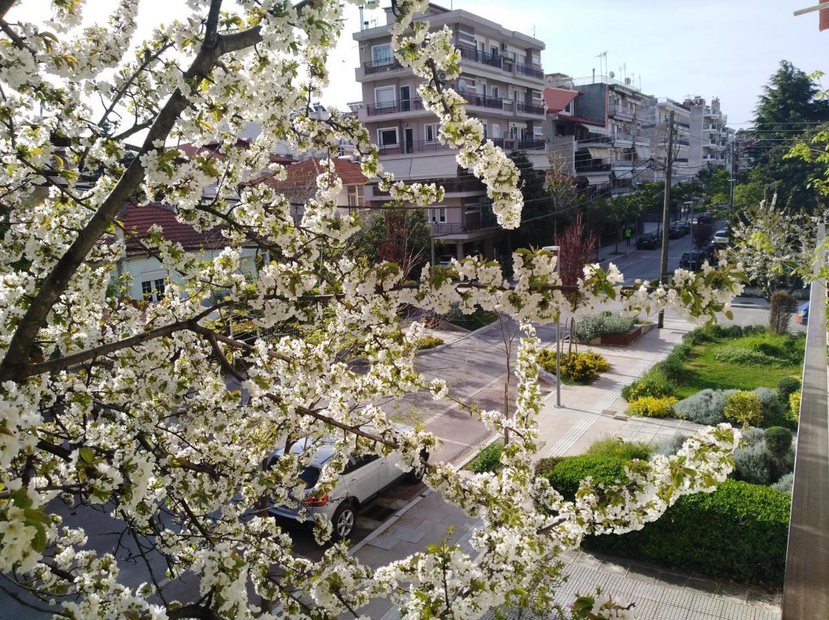 Hotel Olympia Edessa Exterior foto
